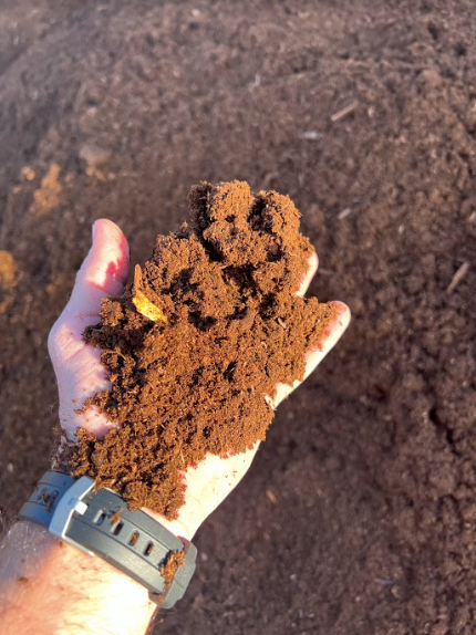 Hand holding a mound of dark brown, crumbly soil; outdoors in sunlight.