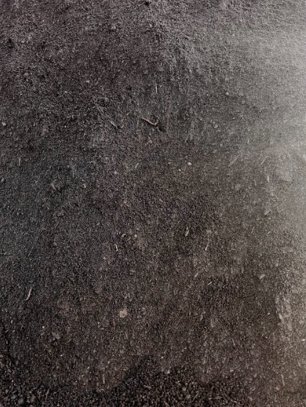 Dark, textured soil, likely topsoil, filling the frame.