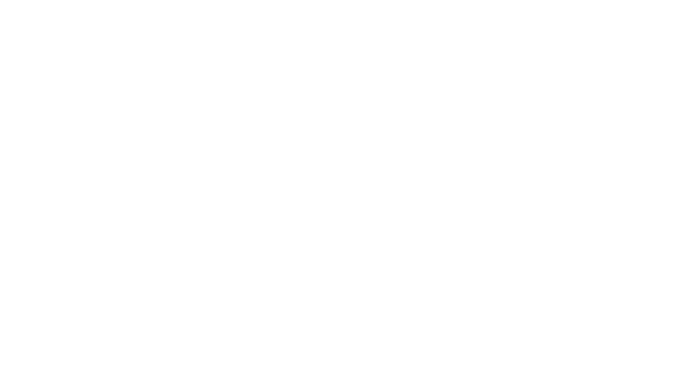 Elevate Strength & Nutrition - Logo