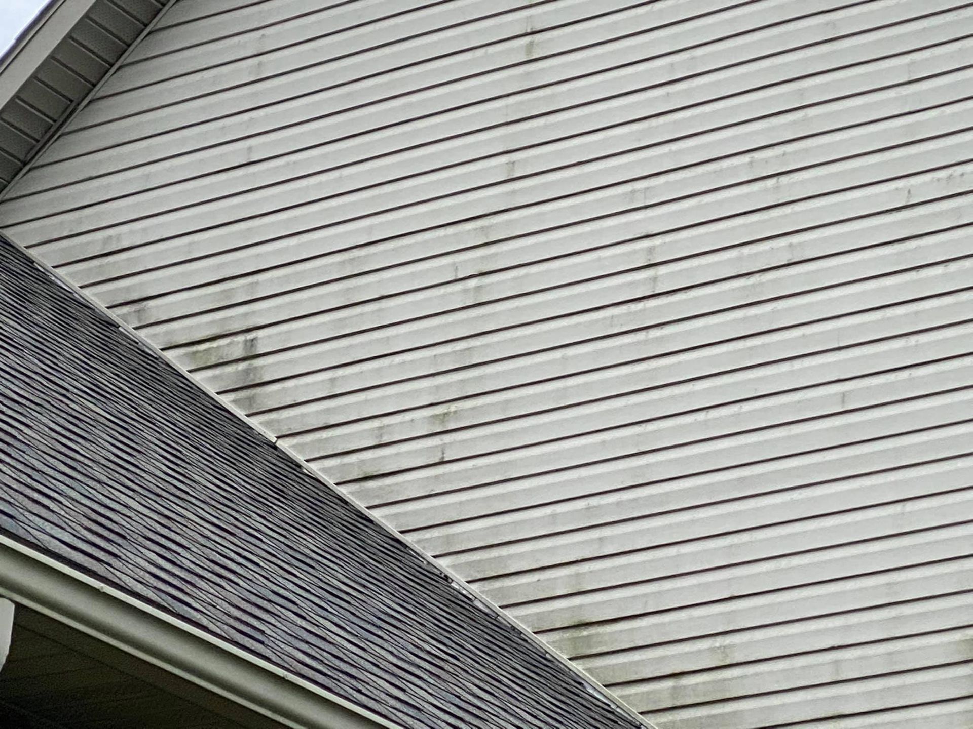 White siding and dark shingled roof of a house seen at an angle