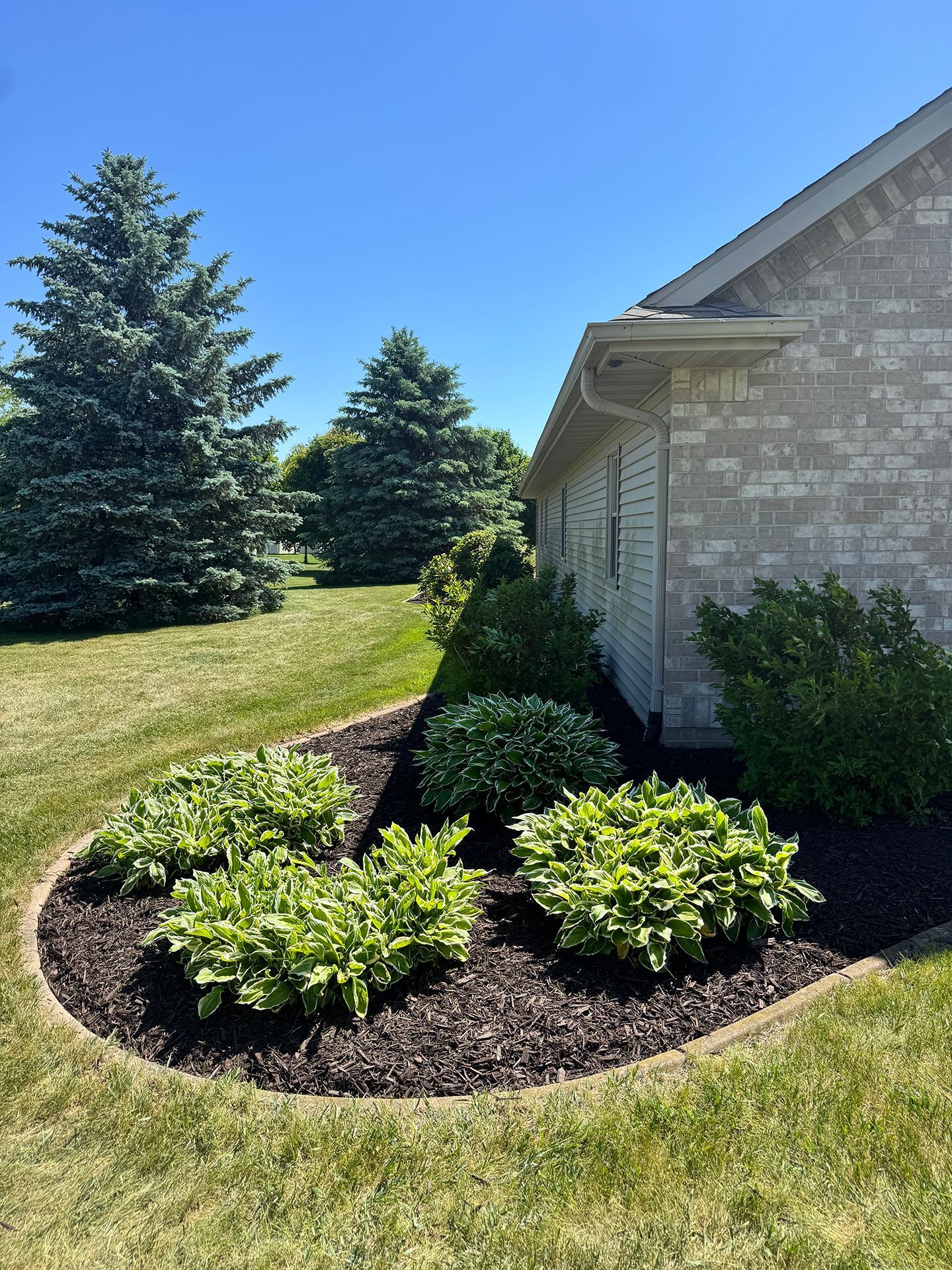 Mulched garden bed with green shrubs beside a stone house