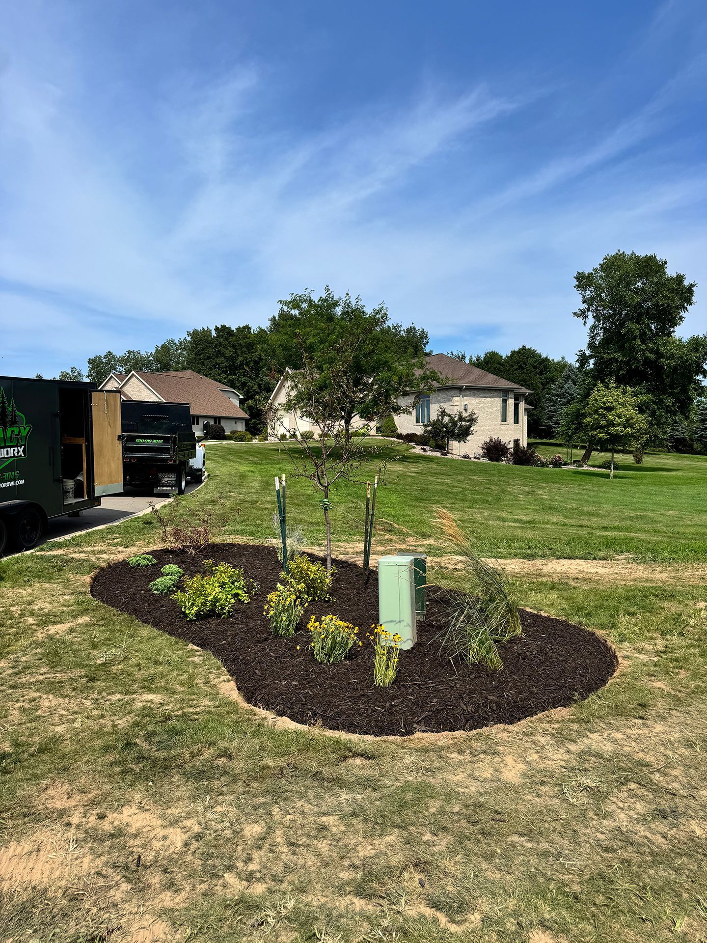 New garden bed with young plants in a grassy yard