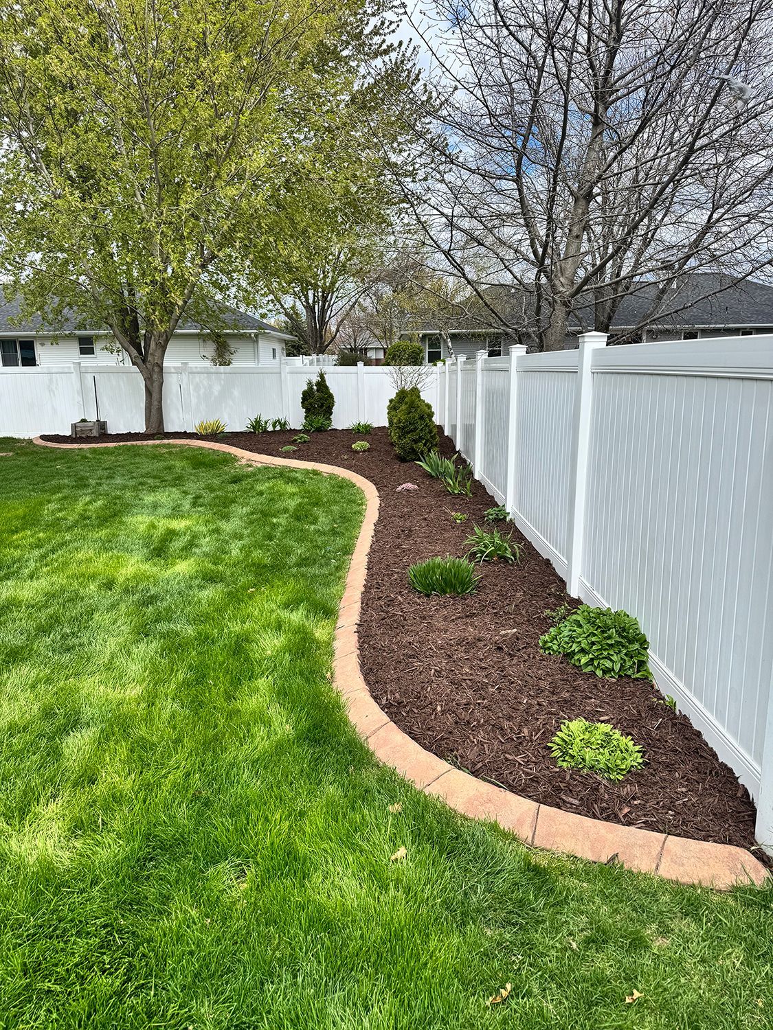 Curved mulched garden bed with shrubs beside a white fence and green lawn