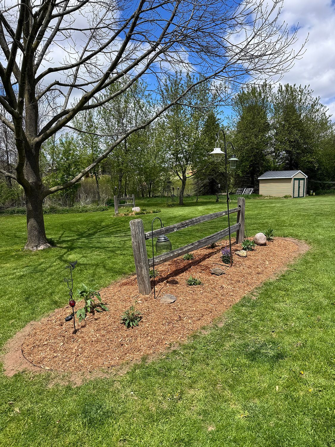 Small landscaped garden bed with mulch and plants