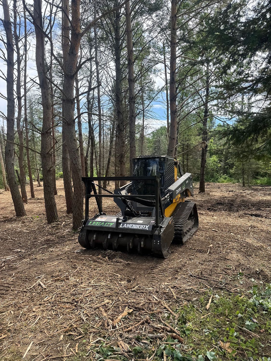 Small black skid-steer loader in a wooded area on a leaf-covered forest floor