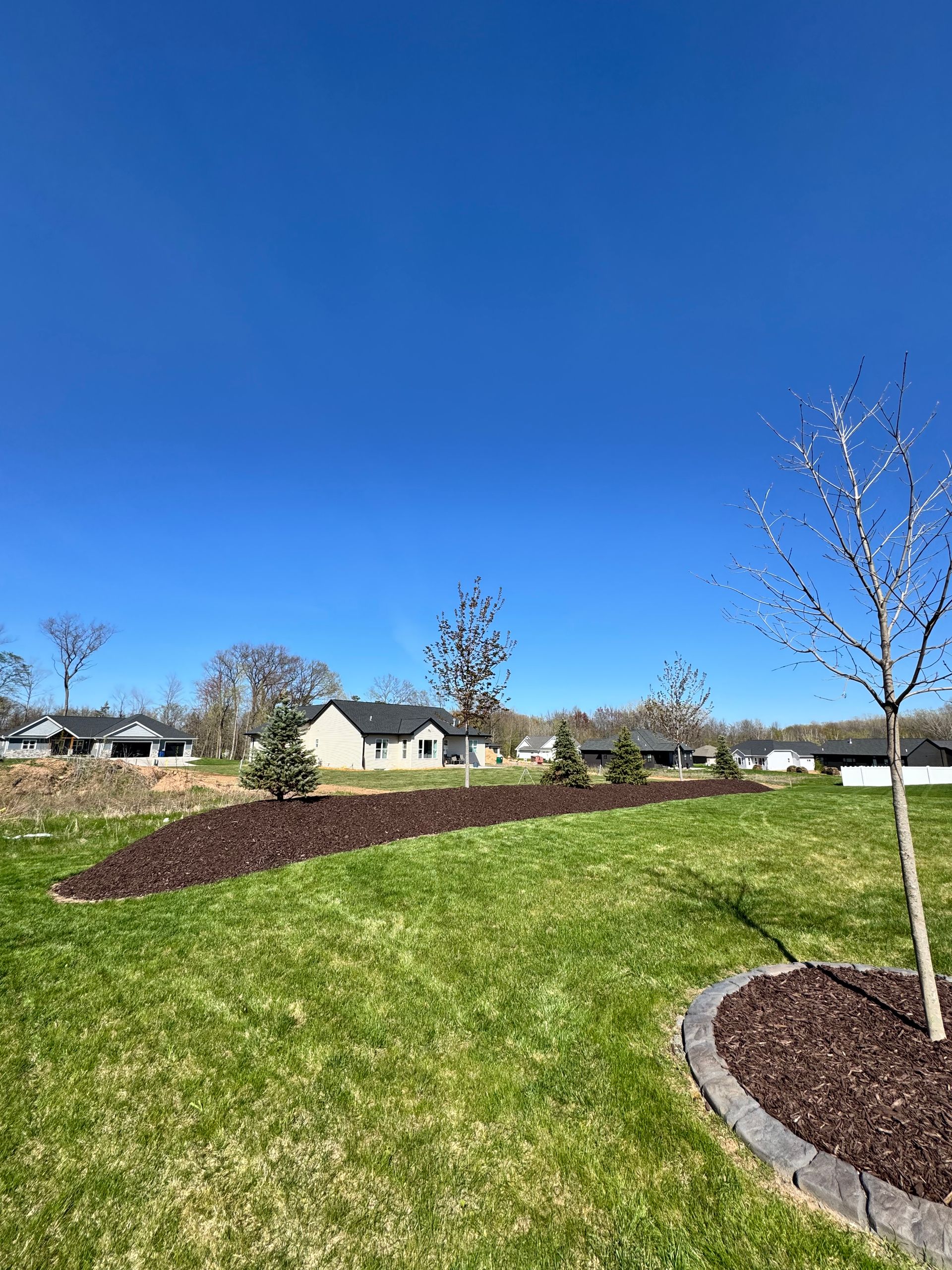Sunny suburban park with green grass, mulched beds, young trees, and houses under a clear blue sky
