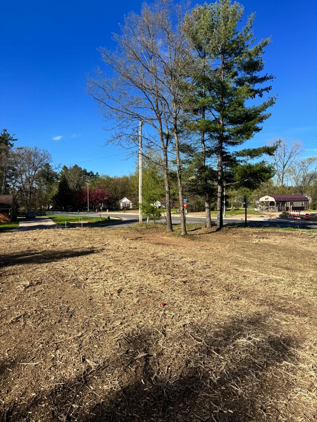 Sunny park with leaf-covered ground, tall trees, and a clear blue sky