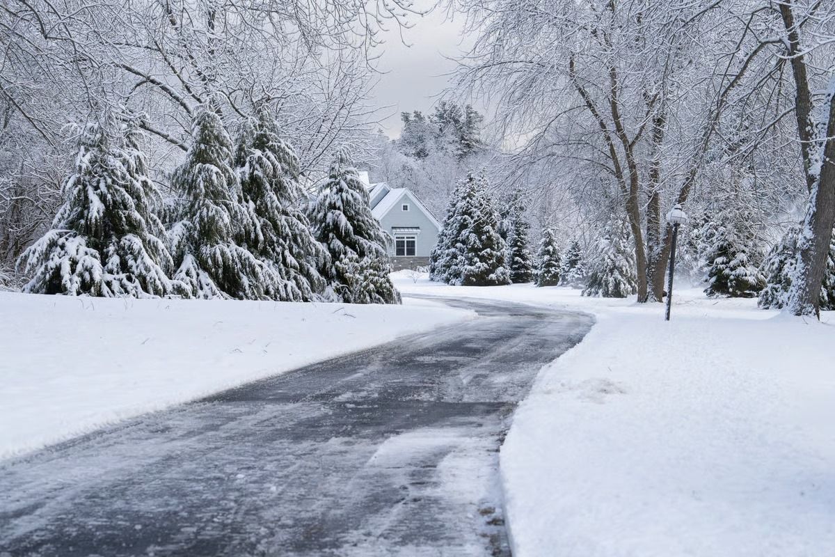 Snow-covered winding road leading to a house, lined with frosted trees and deep white drifts.