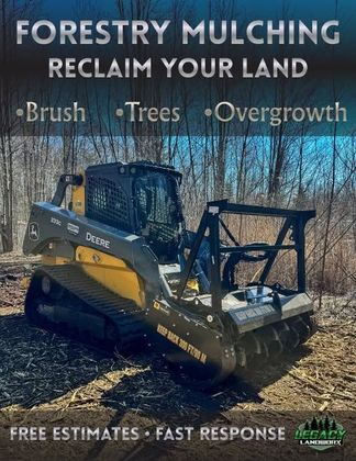 Forestry mulching machine clearing brush and overgrowth in a wooded area
