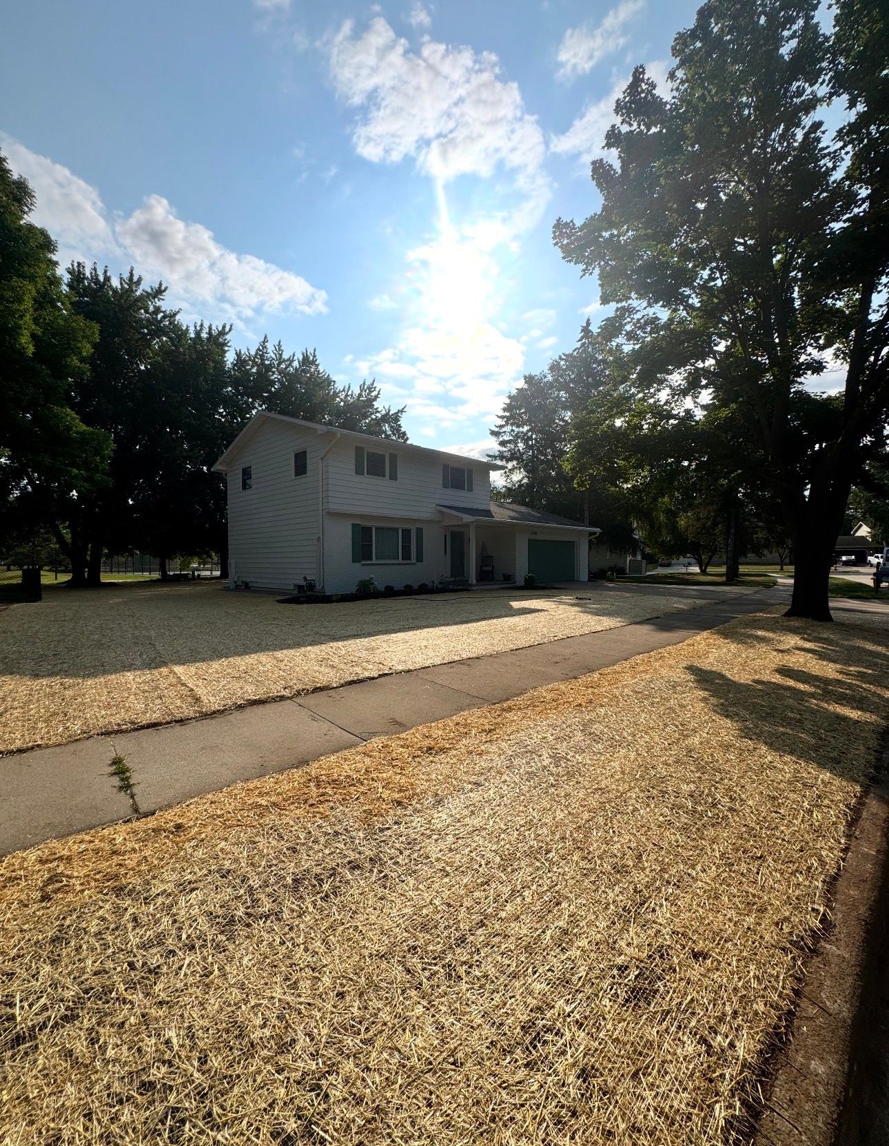 White farmhouse on a sunny tree-lined gravel driveway with long shadows.