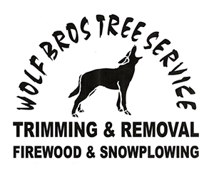 Wolf Bros Tree Service Logo