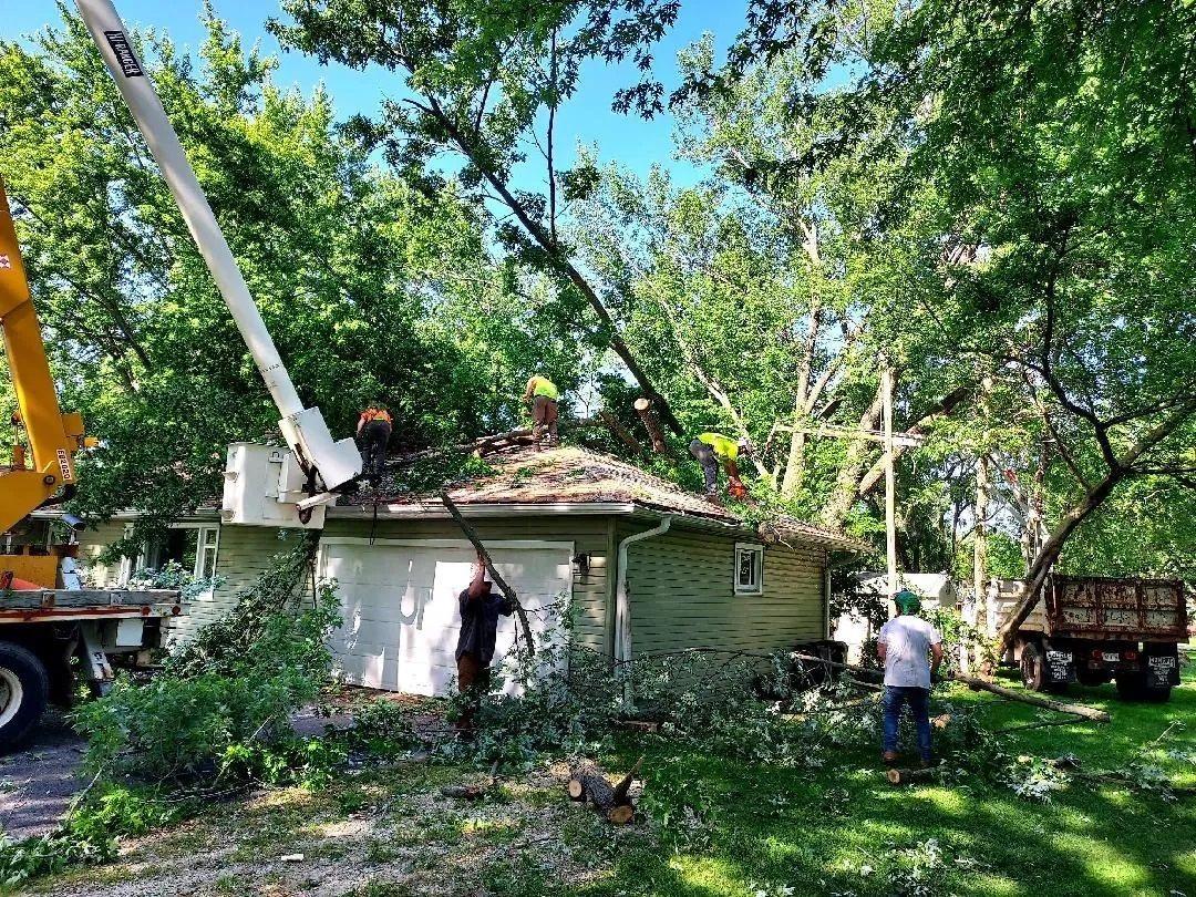 A crane is being used to remove a tree from the roof of a house