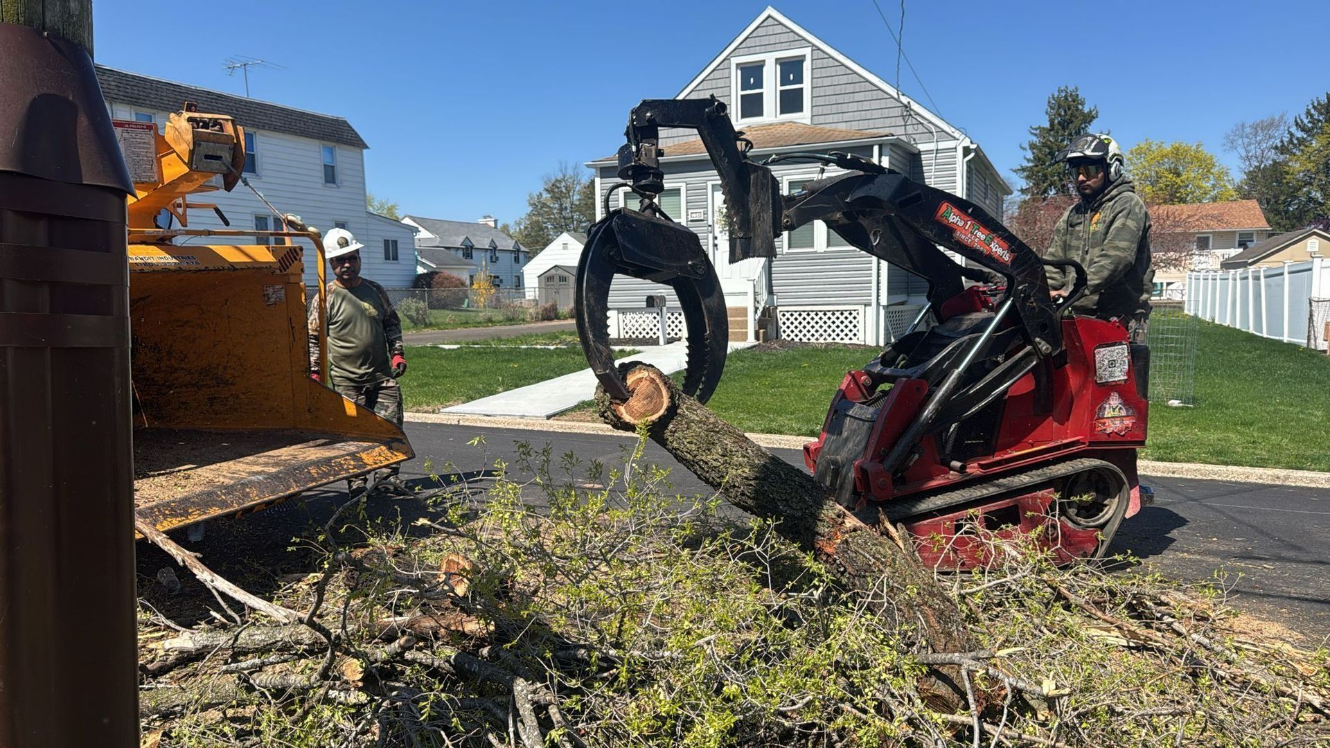 Two workers using a red skid steer to chip tree branches into a yellow wood chipper on a street.