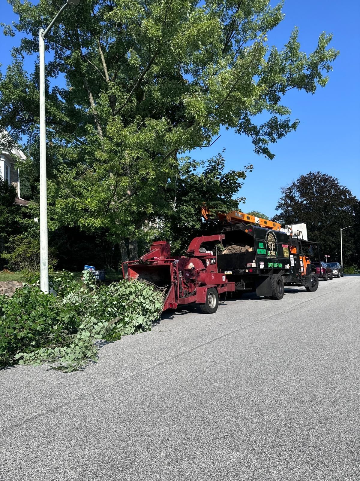 A tree chipper on a gravel road is processing branches from a nearby tree. Sunny day.