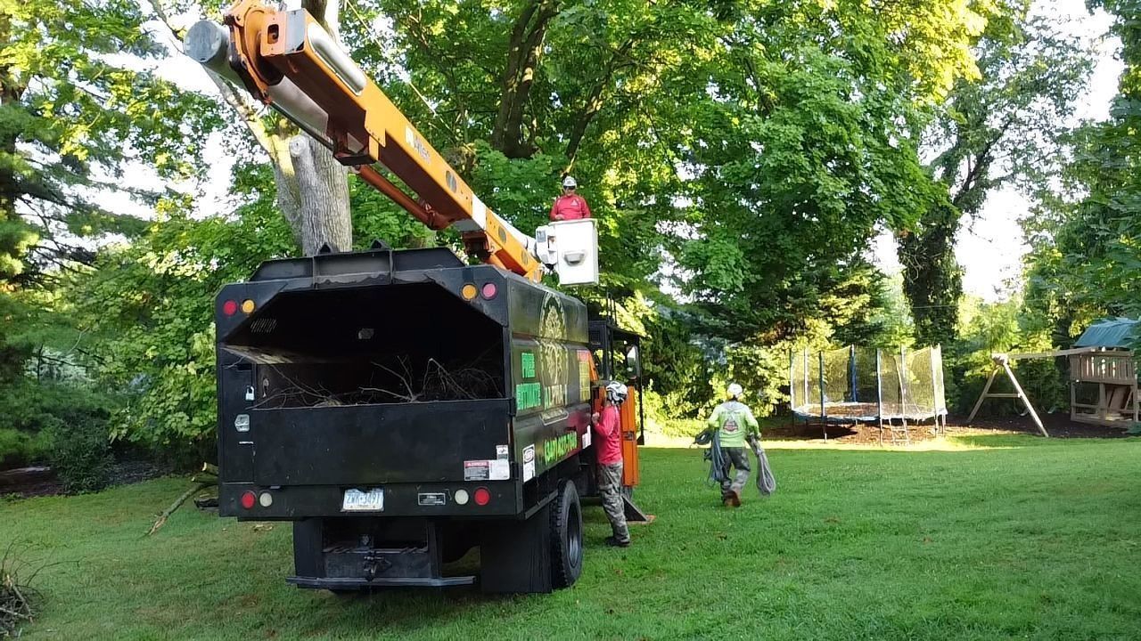 Truck with an extended arm cutting a tree; workers in safety gear on the lawn.