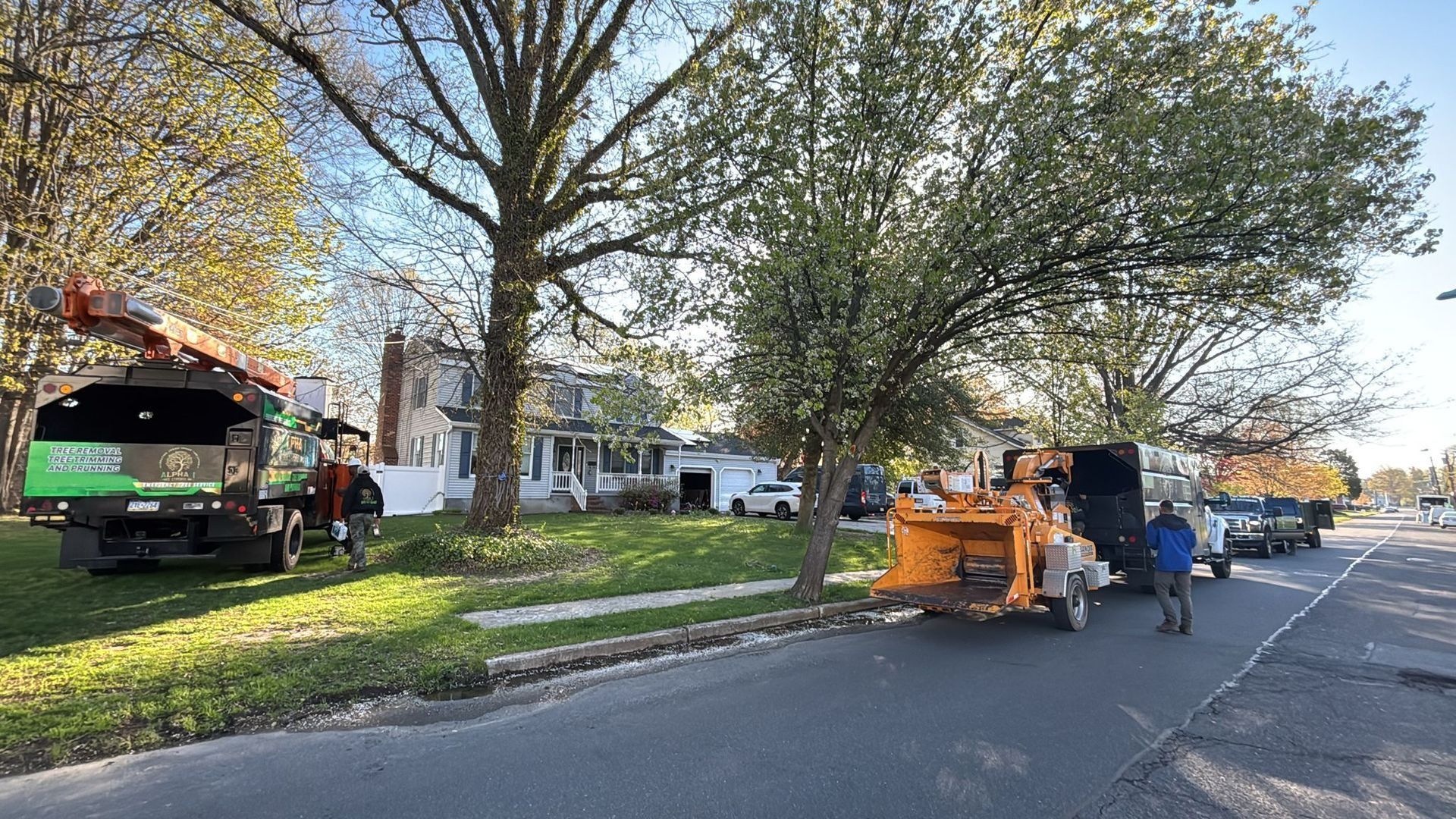 Tree service crew on a residential street: chipper, lift truck, and workers near a house with lawn and trees.