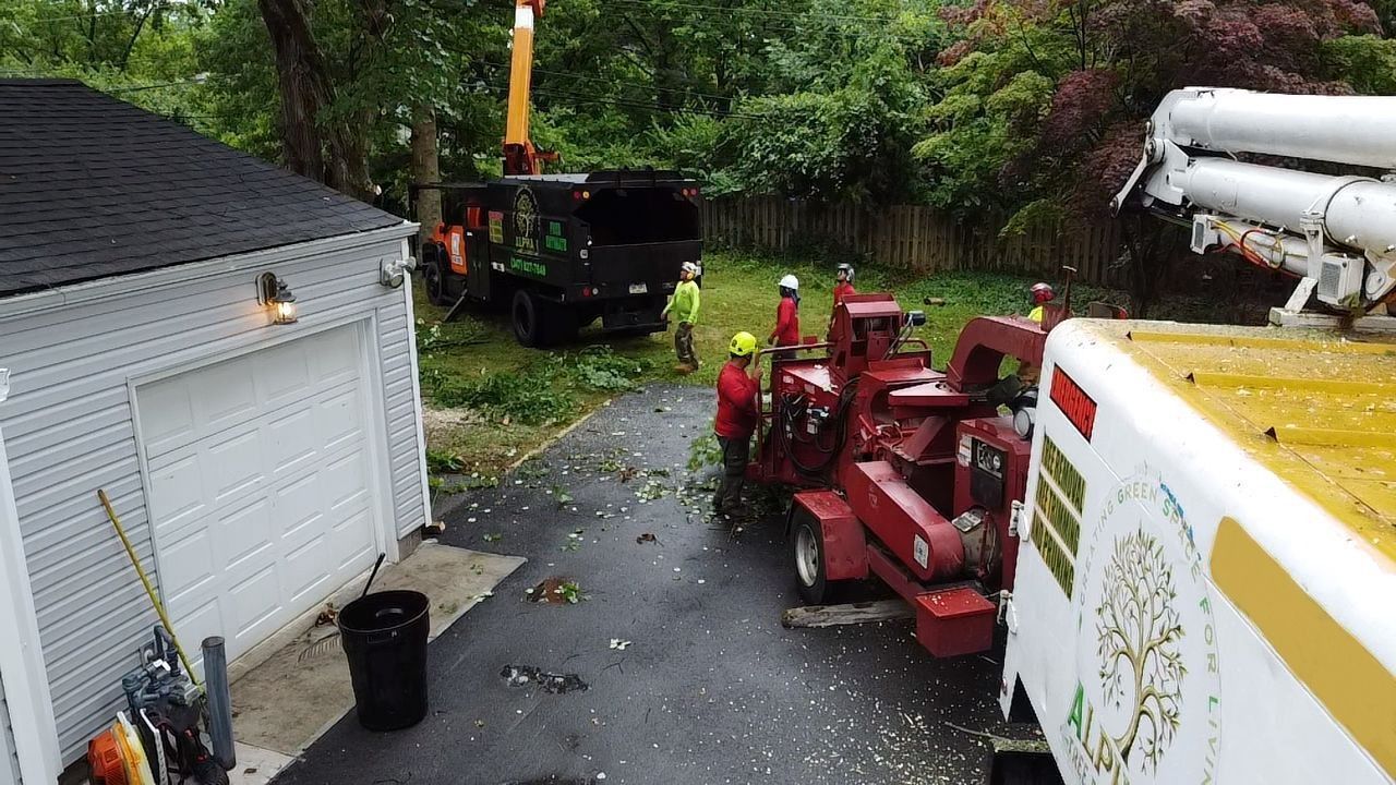 Tree removal crew working near a garage.  One worker in cherry picker, others feeding branches into a chipper.