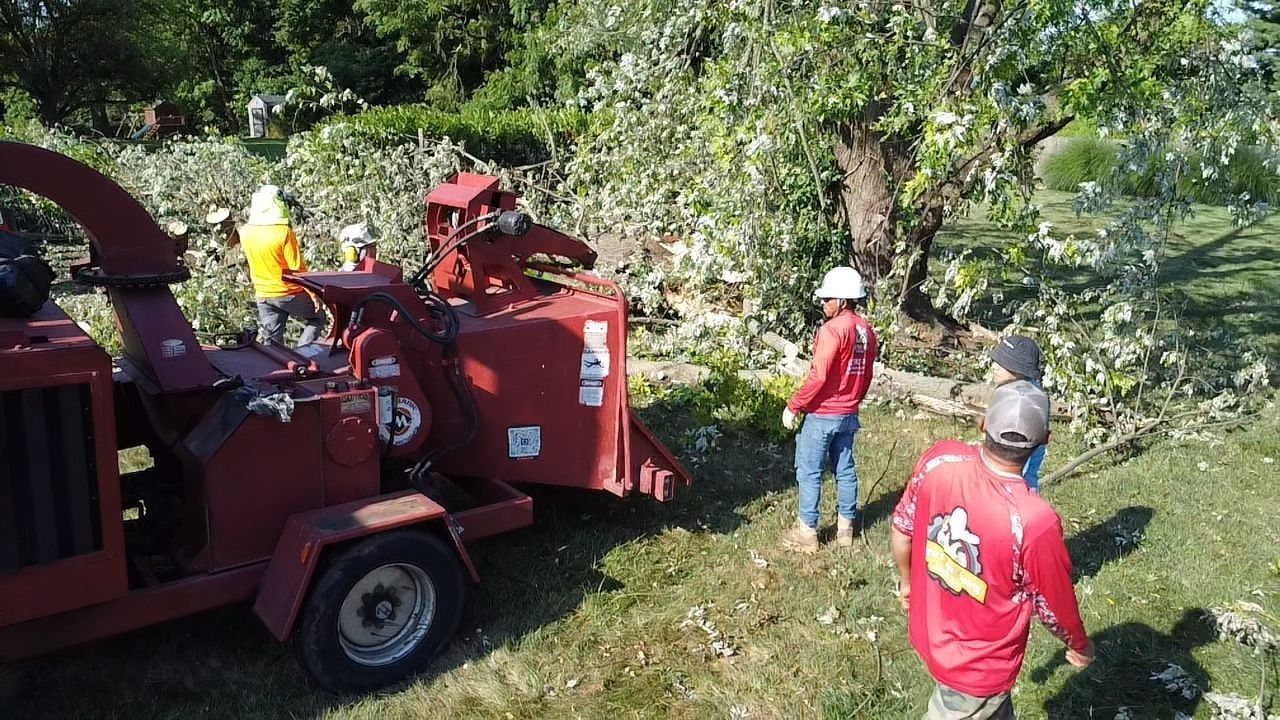 Tree service crew chipping branches. Red chipper, workers wearing safety gear in a grassy area.