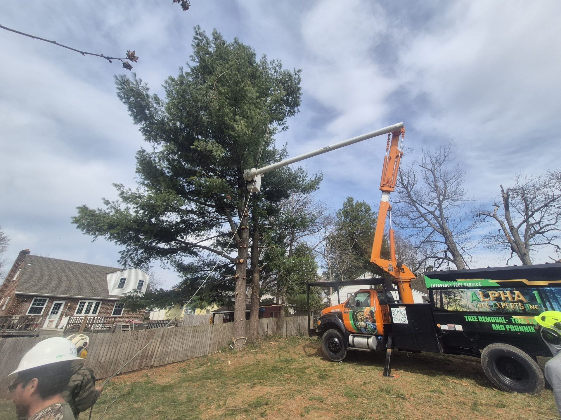 Tree removal service in progress: orange truck boom reaches towards tall evergreen tree. Houses and sky in the background.