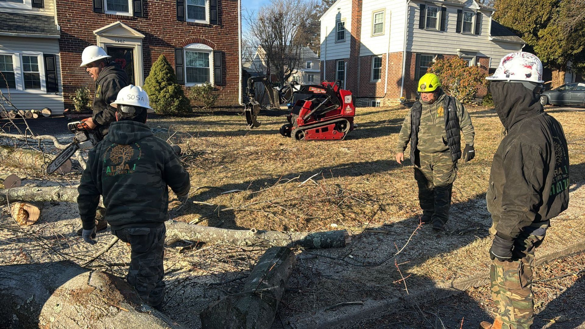 Tree crew clearing debris in a residential yard; workers wearing hard hats; small skid steer in the background.