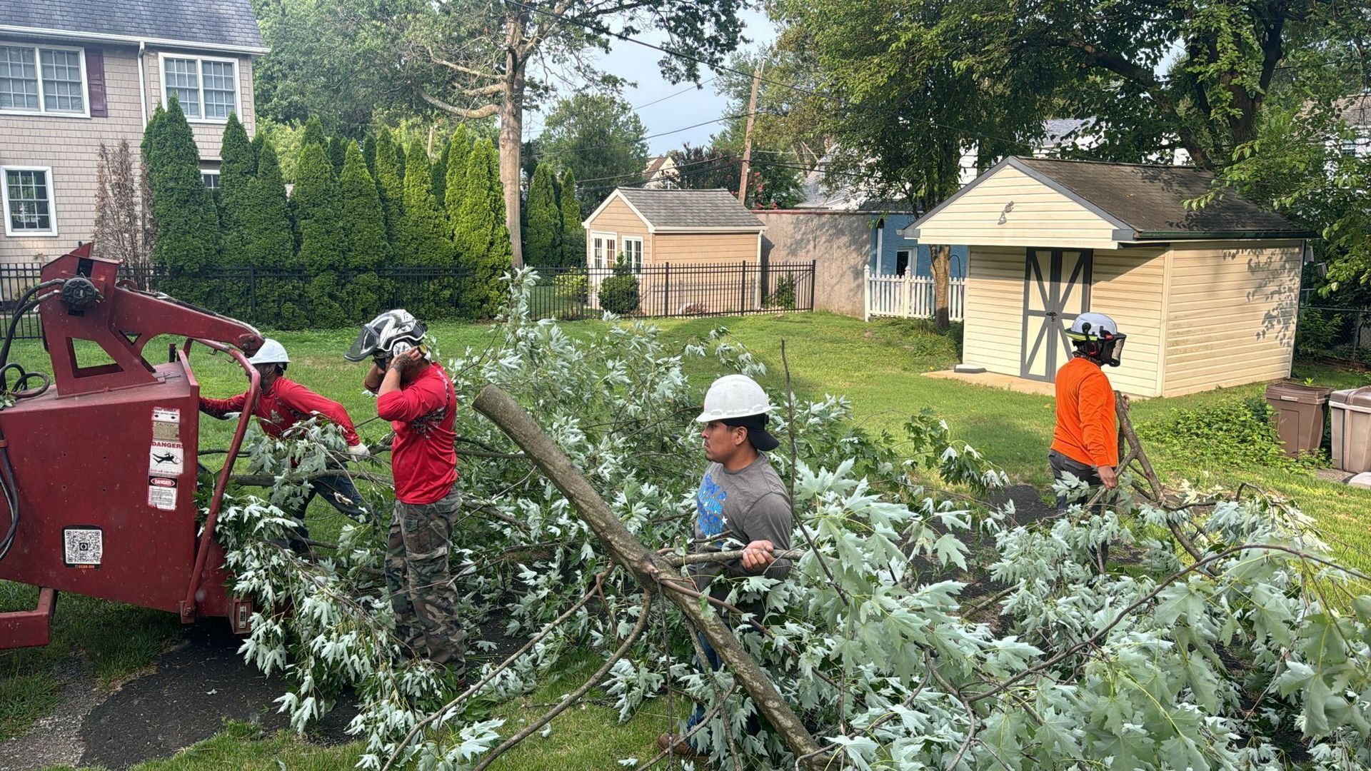Arborists in red and orange shirts work on a fallen tree in a residential yard, using a chipper.