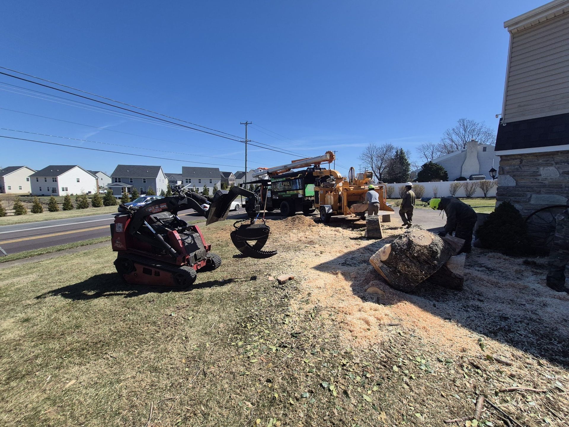 Tree removal operation: Machines and workers on a grassy area near a road and houses on a sunny day.