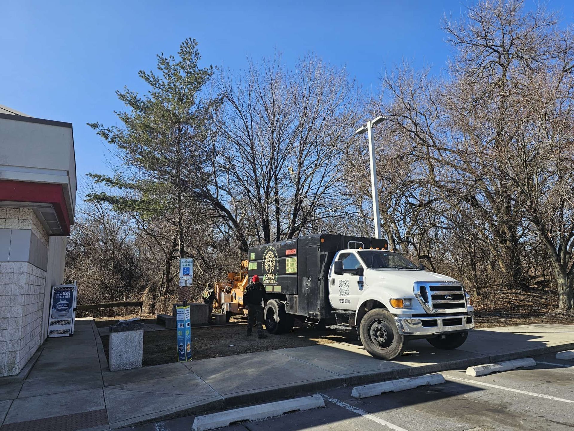 White tree service truck parked near trees, people working. Sunny day.