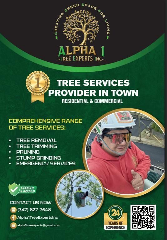 Flyer for Alpha 1 Tree Experts with tree service offerings. Features a man wearing a helmet and two tree images.