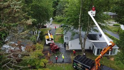 Tree removal crew in action, using a lift to trim a tree near a house.