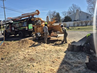 Two workers feed wood into a wood chipper next to a truck on a sunny day. Sawdust is on the ground.