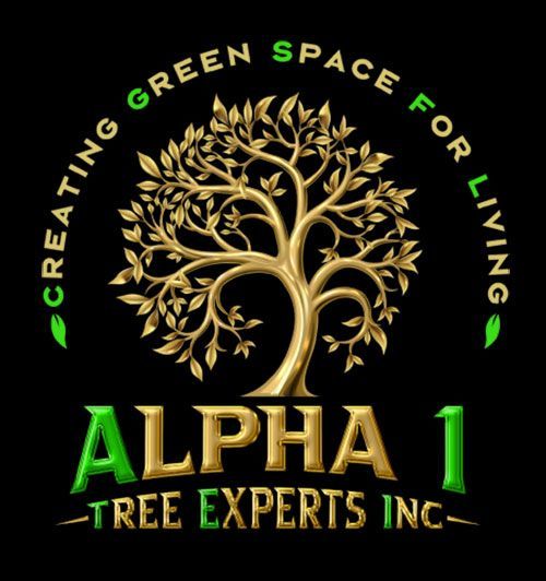 Gold tree logo for "Alpha 1 Tree Experts Inc." with green text, black background.