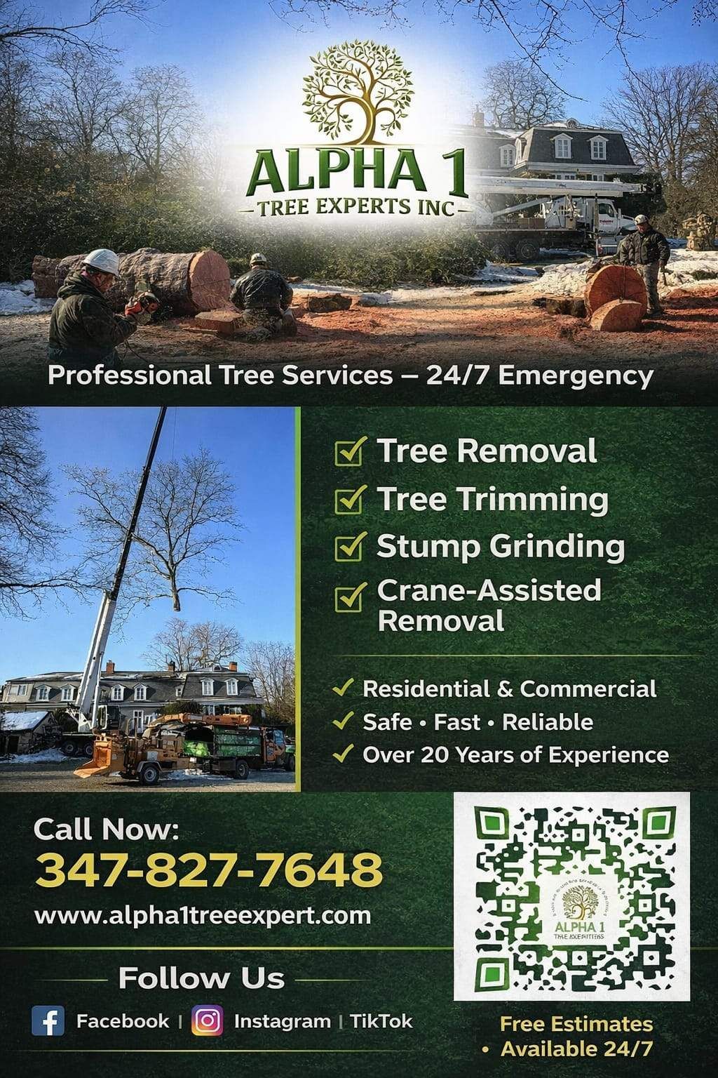 Alpha 1 Tree Experts flyer showing tree work, services list, phone number, website, and a QR code for 24/7 estimates.