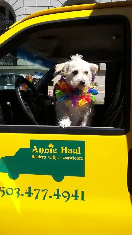 White dog wearing a lei in the driver's seat of a yellow truck; 