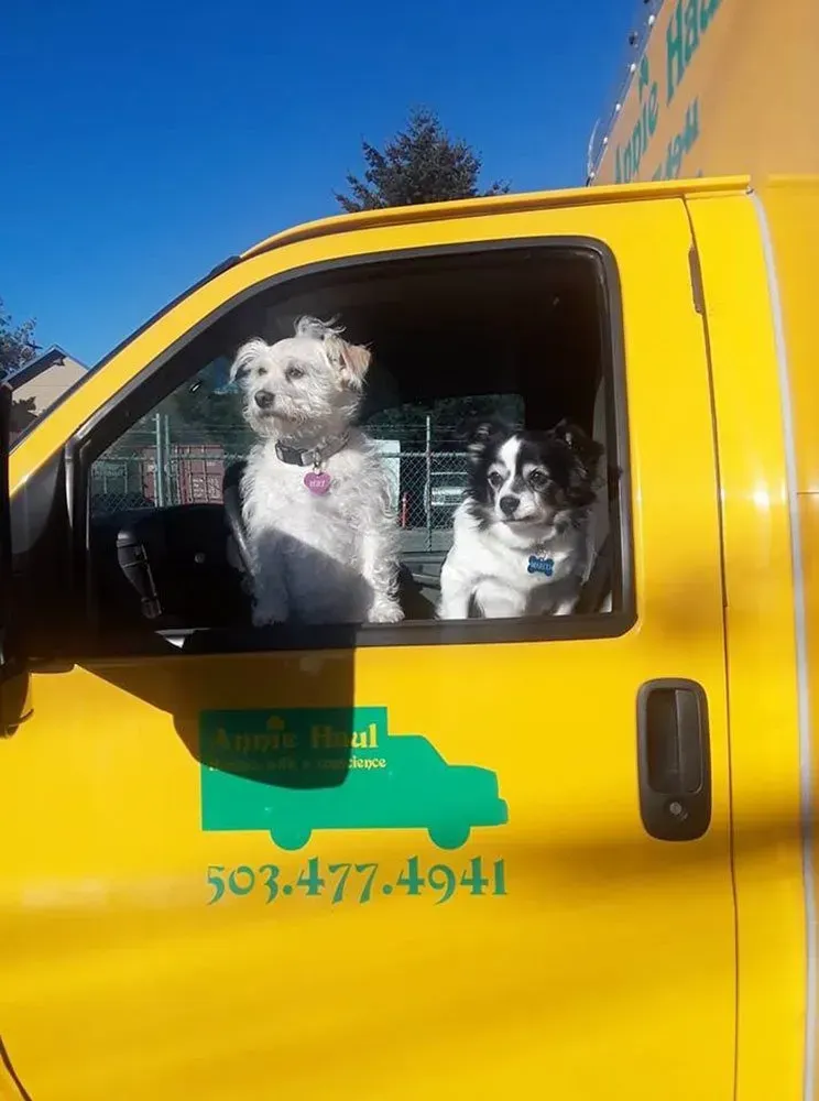 Two dogs in a yellow van with a green logo, sitting in the front seats looking out the window, sunny day.