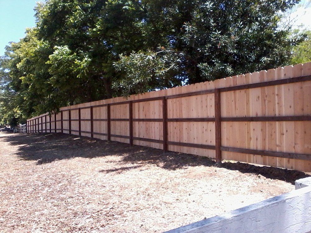 fence