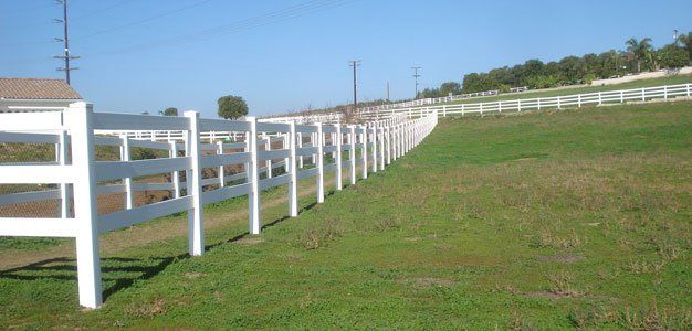 white fences