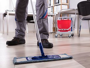 Floor and carpet cleaning