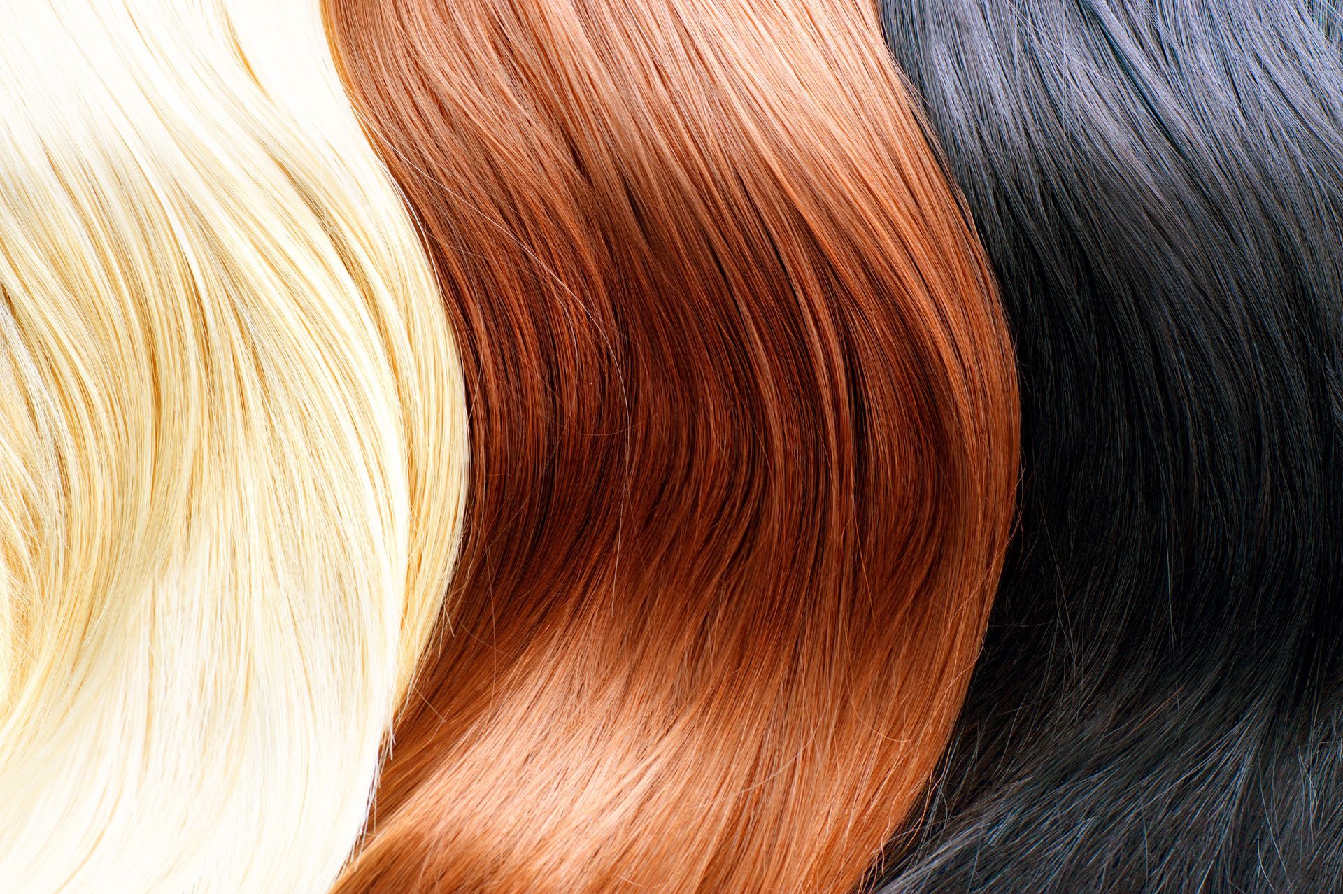 Blond, auburn, brown, and black hair swatches arranged side by side.
