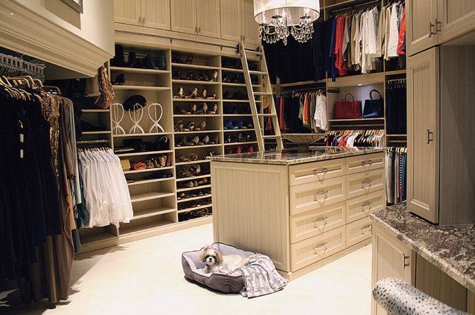 A dog is laying on a dog bed in a walk in closet.