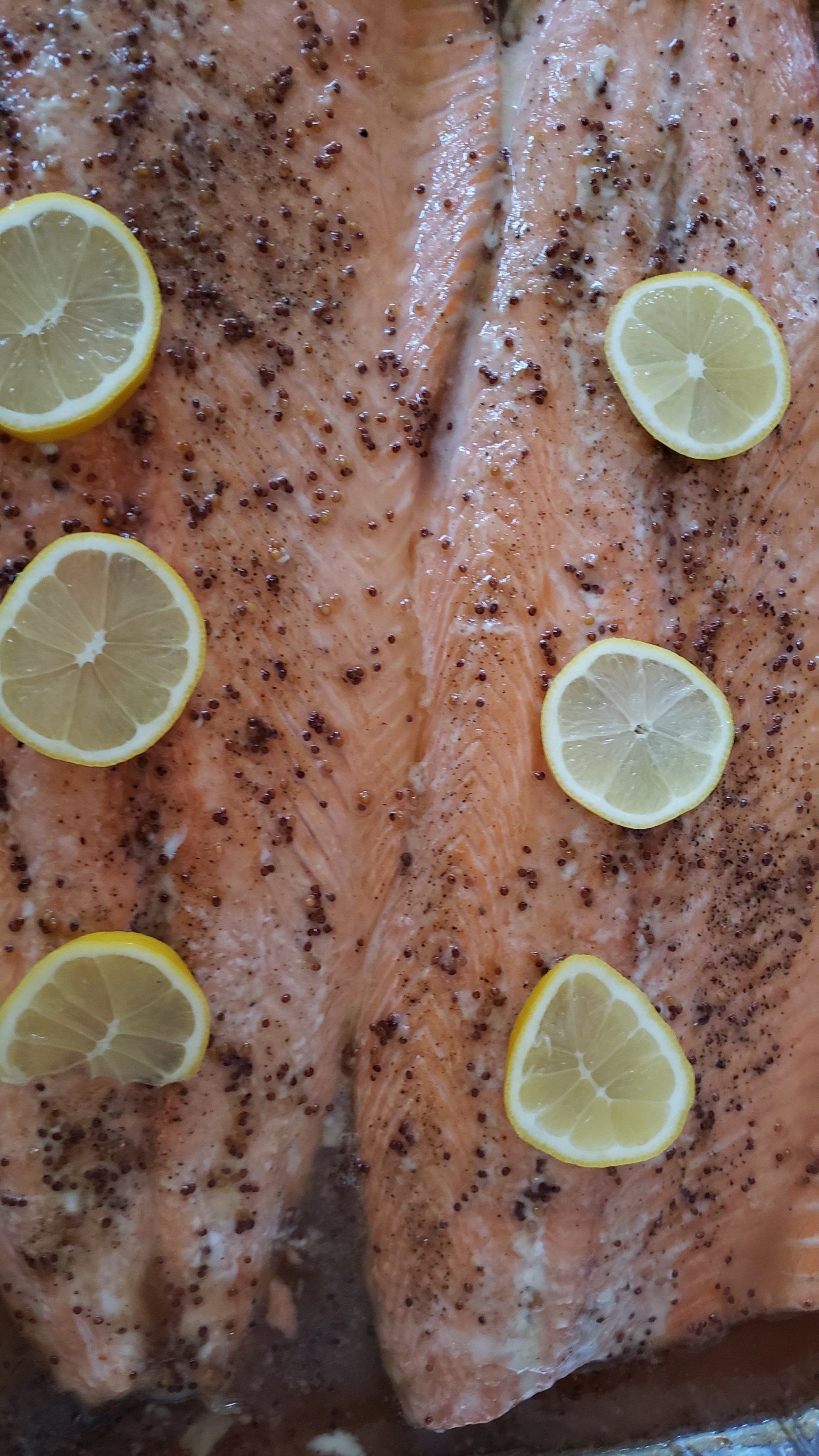 Salmon
