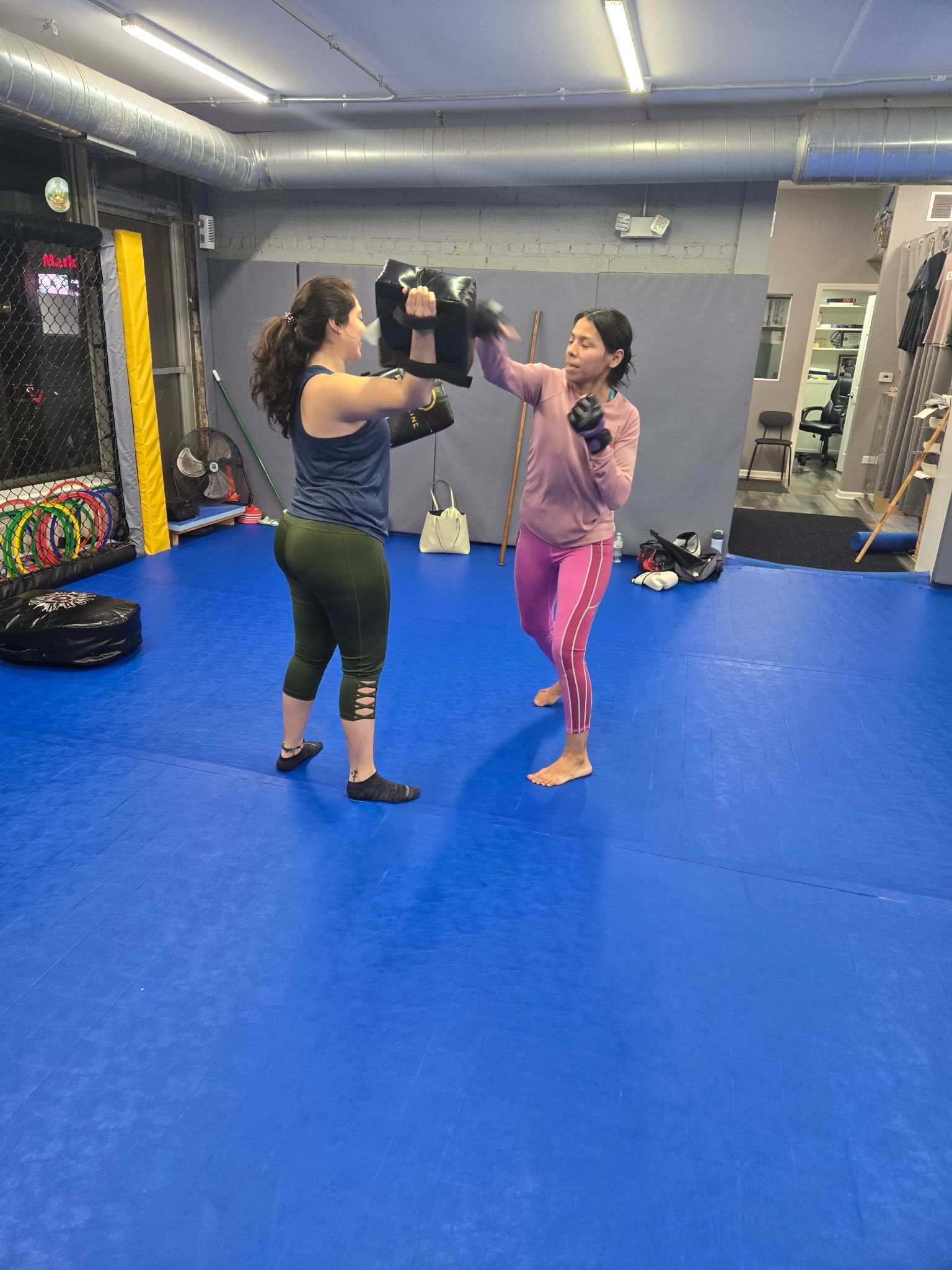 Woman in pink strikes a pad held by another woman in a gym. Blue mat.