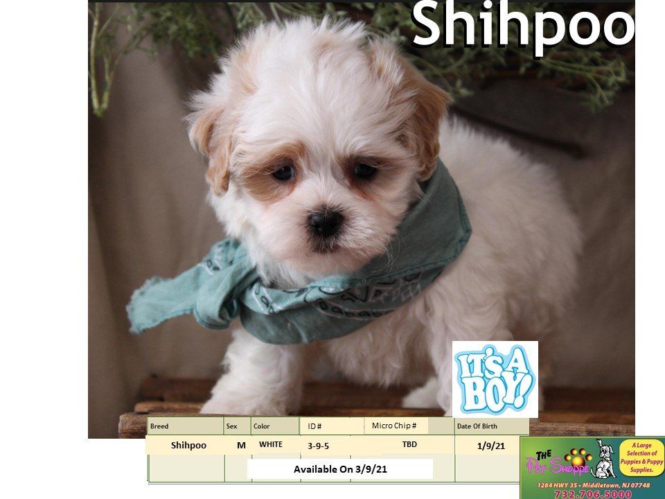 The Pet Shoppe Pet Store Middletown, NJ