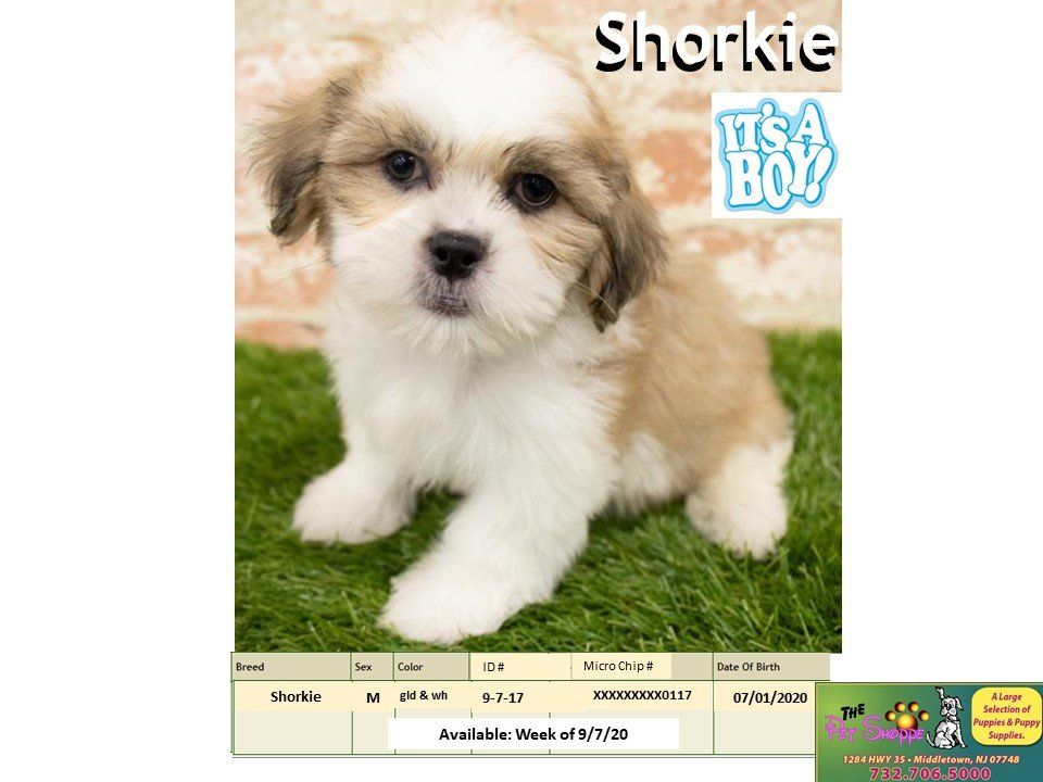 The Pet Shoppe Pet Store Middletown, NJ