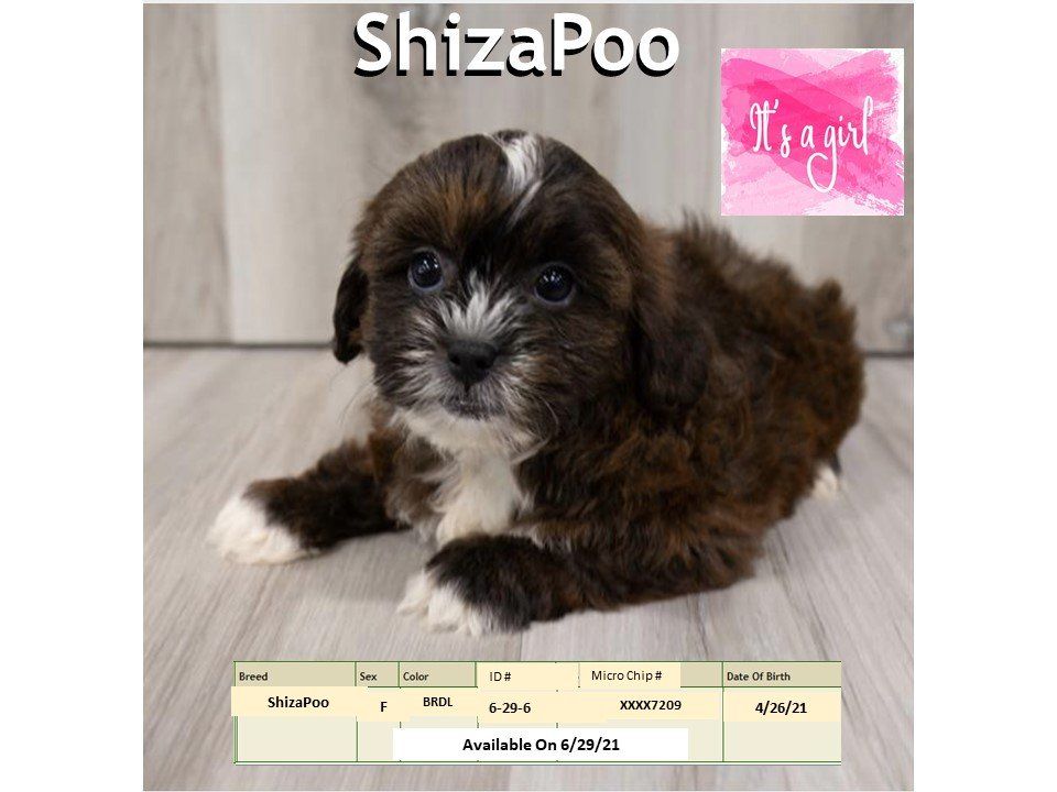 The Pet Shoppe Pet Store Middletown, NJ