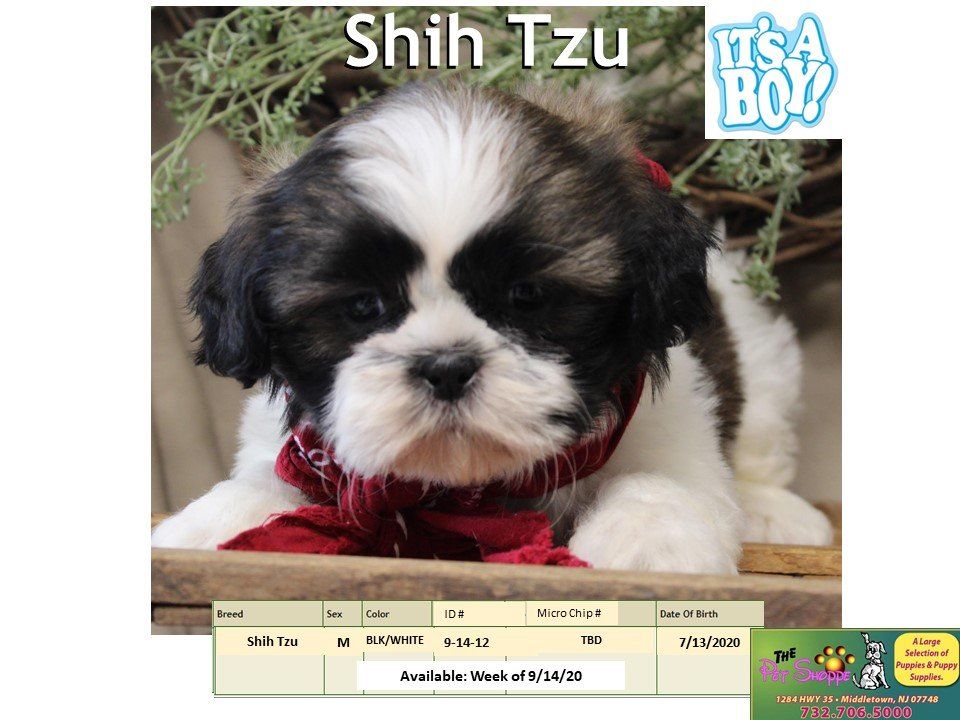 The Pet Shoppe Pet Store Middletown, NJ