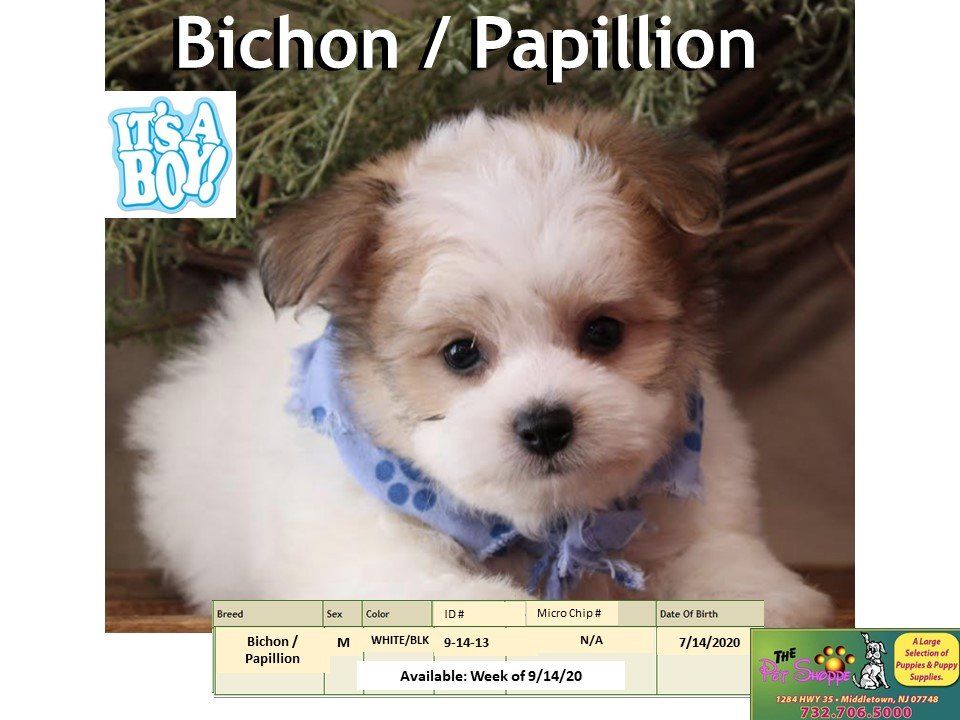 The Pet Shoppe Pet Store Middletown, NJ