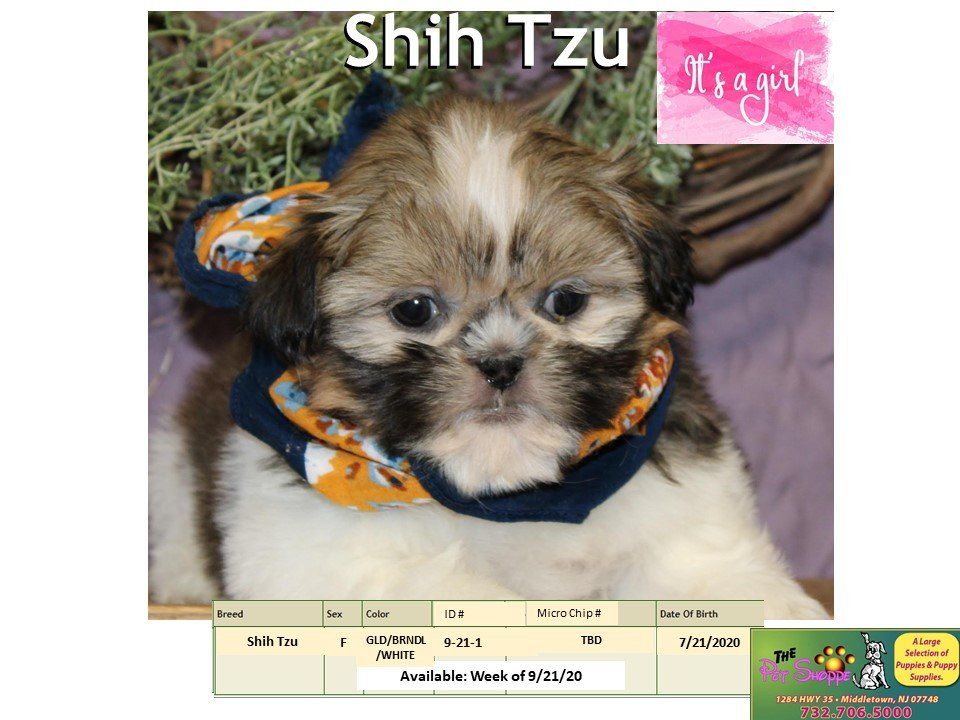 The Pet Shoppe Pet Store Middletown, NJ