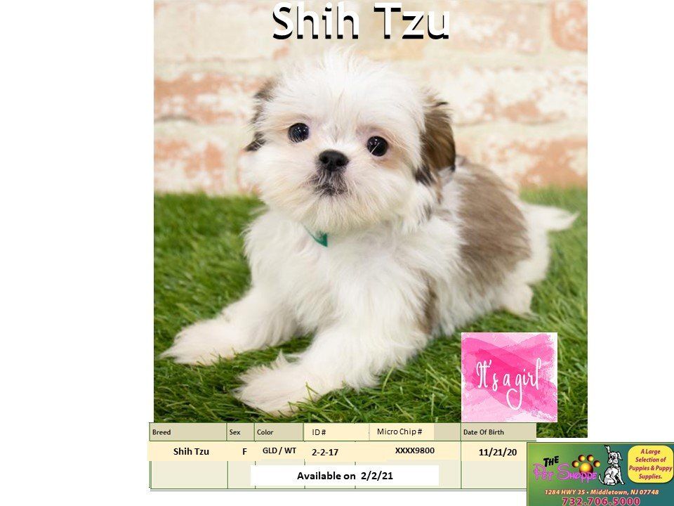 The Pet Shoppe Pet Store Middletown, NJ