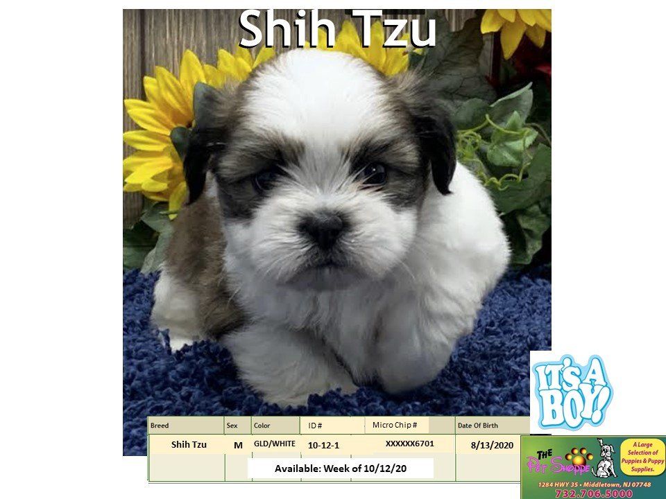 The Pet Shoppe Pet Store Middletown, NJ