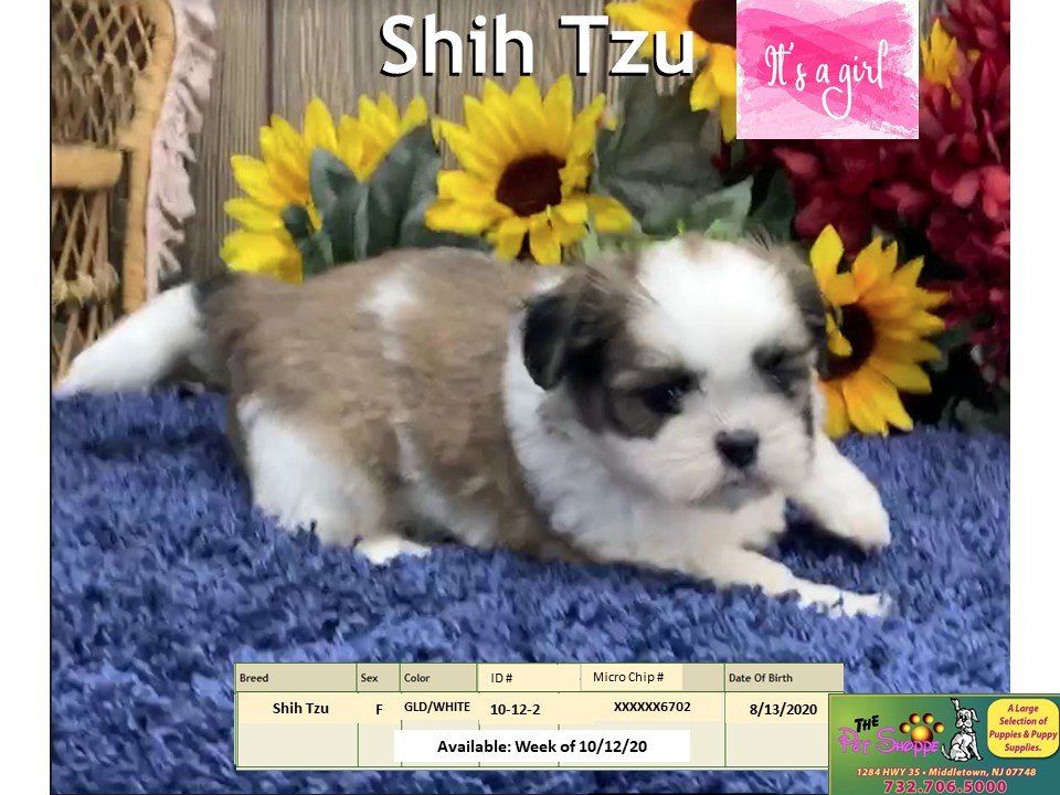 The Pet Shoppe Pet Store Middletown, NJ